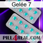 Gelée 7 29